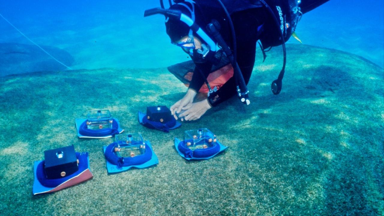 Underwater